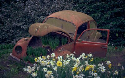 Seasonal Eating Against Spring Fatigue