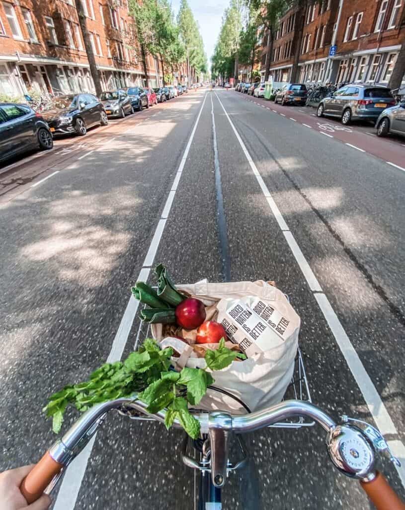 riding bicycle with a baskets of veggies.